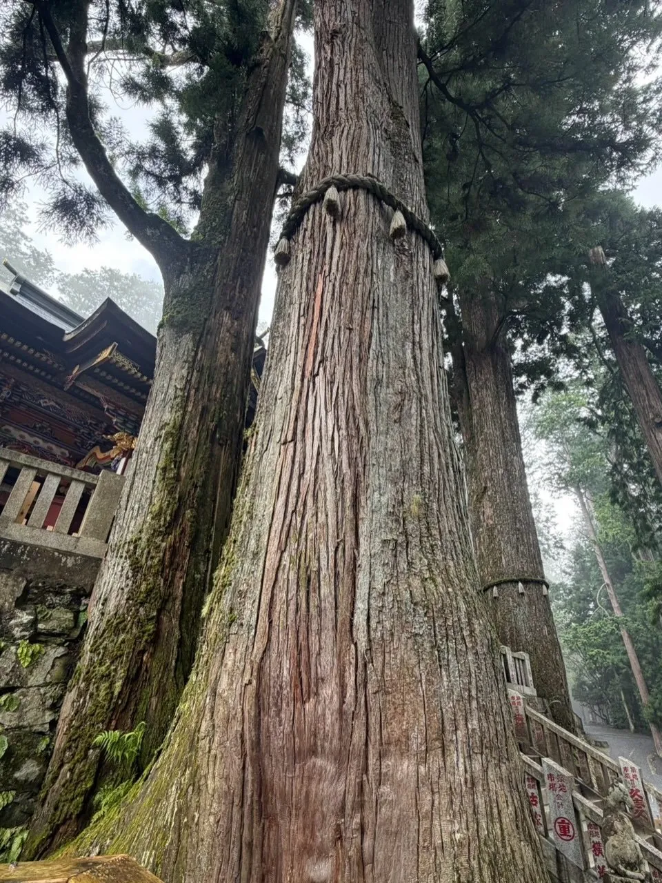 三峯神社（埼玉県秩父市）に参拝してきました⛩️
