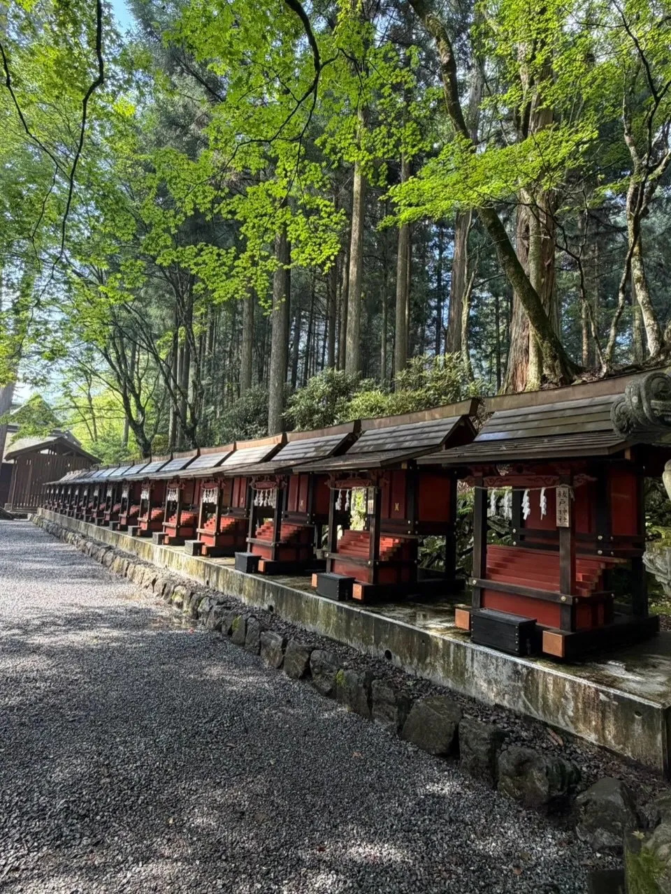 三峯神社（埼玉県秩父市）に参拝してきました⛩️