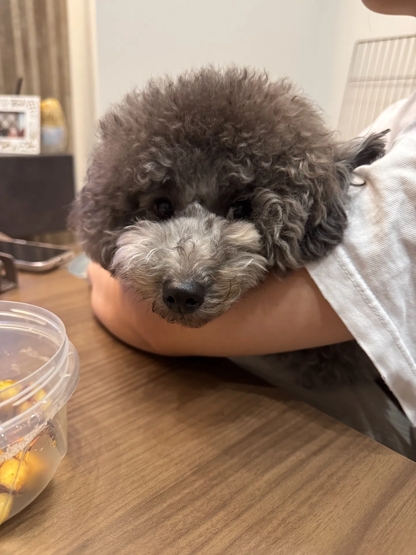 空き家の管理状態を見て、いつも感じること